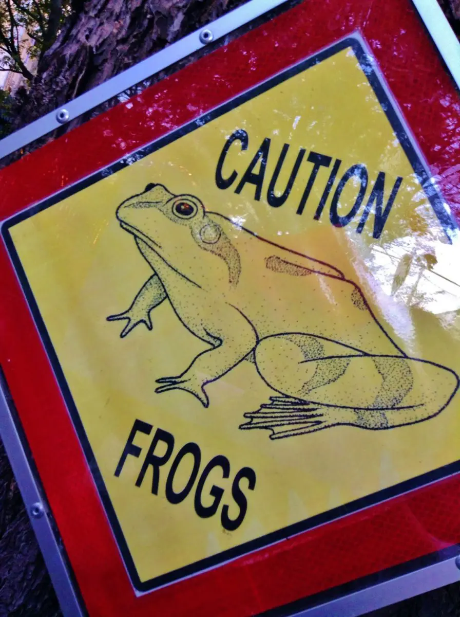 オランダ大使公邸を見学 咲き乱れるチューリップ 13日 16 オランダ大使公邸を見学 咲き乱れるチューリップ 13日 2013年4月13日