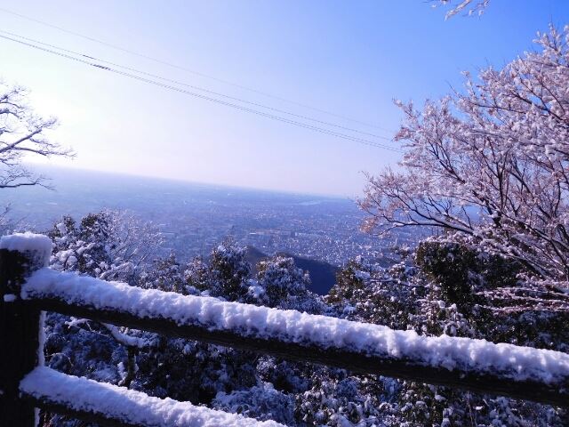 雪の岐阜城・金華山