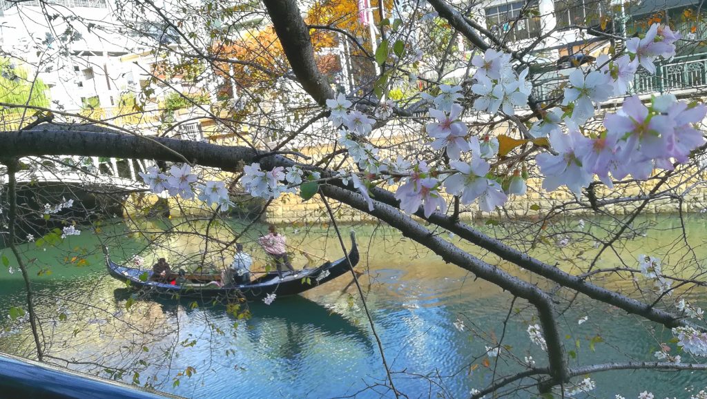 四季桜　名古屋 堀川 の ゴンドラ