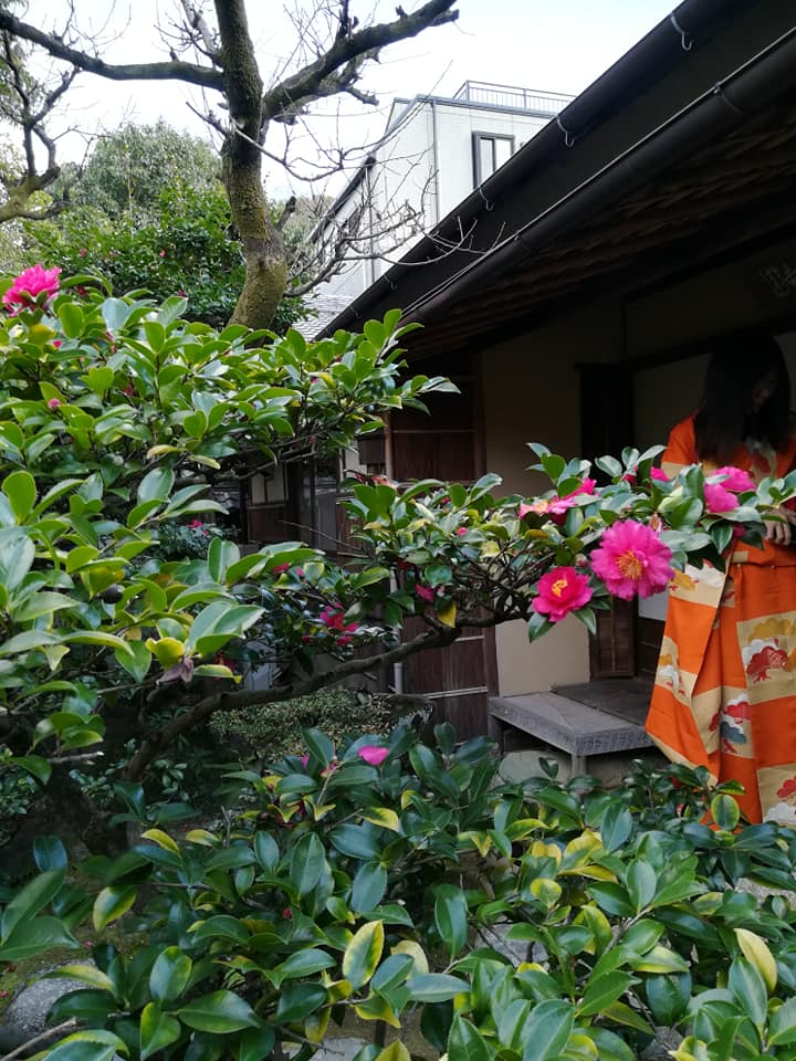 新春に旧東海道 有松 を散策する