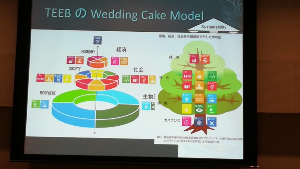 TEEB Wedding Cake Model Sustainability 社会を三層構造で示した木の図 経済 ECONOMY 日酒 SOCIETY 社会 社会 BIOSPHERE 生物! ガバナンス プロジェクト とガバナンスにより