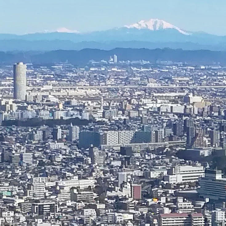 名古屋タワーズから眺める伊吹山