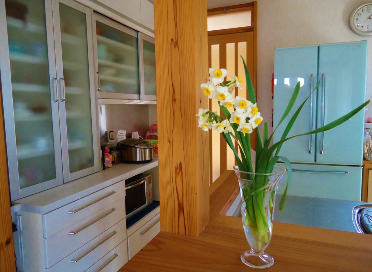Daffodil in kitchen 1