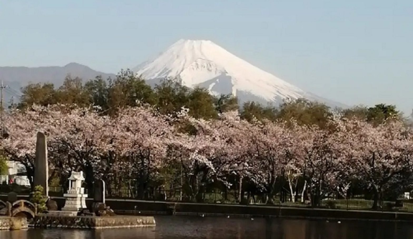 shimizu kakita river springs 20230401 01 1