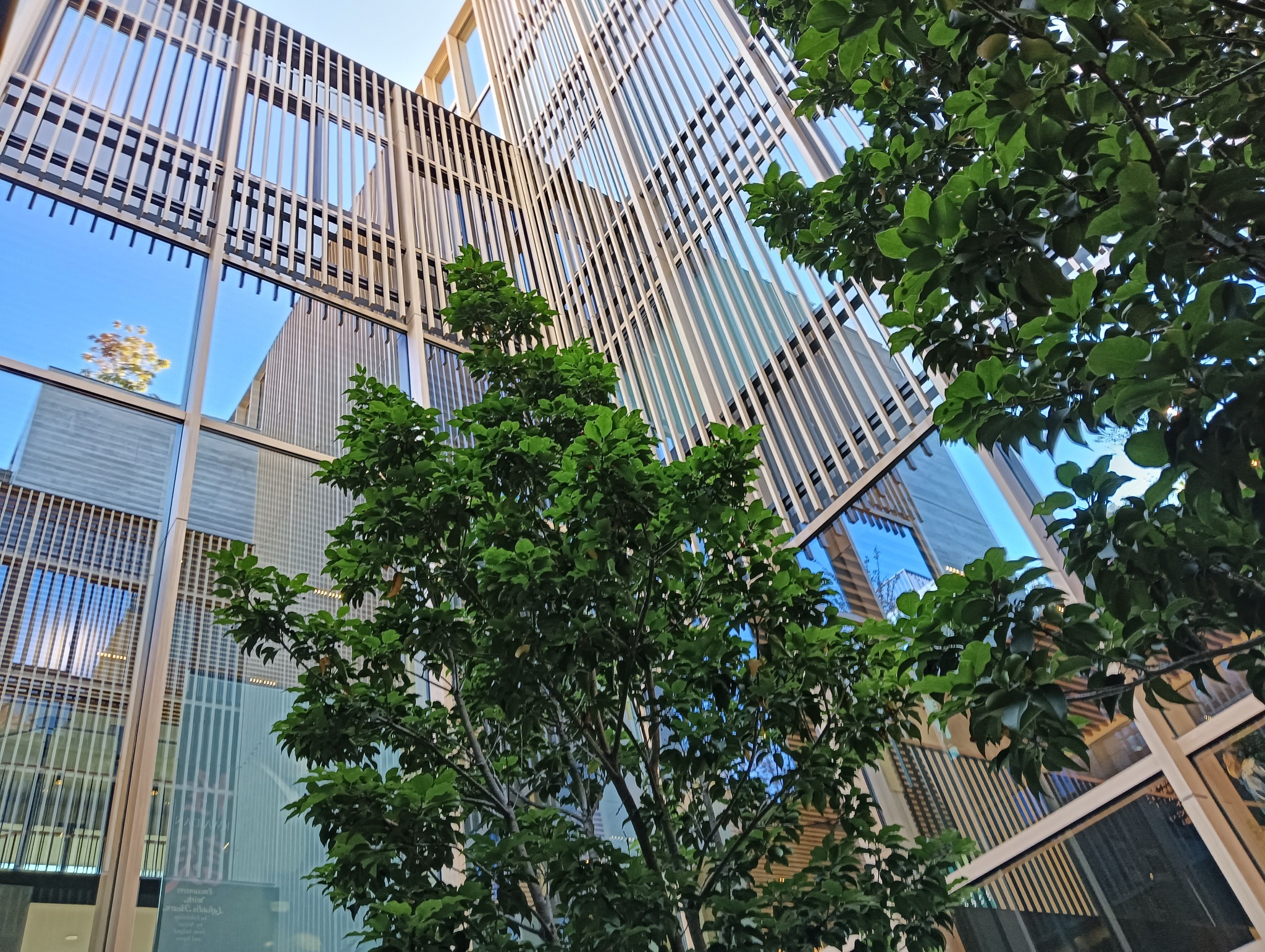 四ツ谷にあるアイルランドハウス東京の建物の外観。縦のルーバーとガラス張りが特徴的なモダンな建築で、手前には緑の木々が茂り、青空がガラスに反射している。