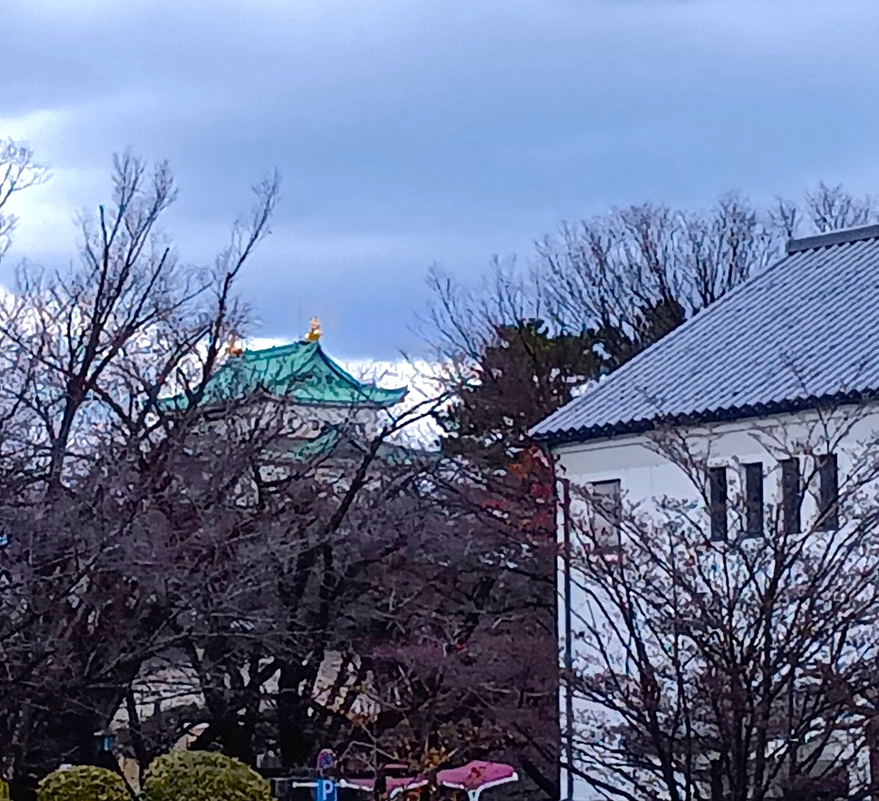 名古屋能楽堂 新春謡初め2026 五流派が揃う感動の伝統芸能 3 曇り空の下、木々の間から見える名古屋城天守閣。手前には能楽堂周辺の白い壁の建物がある。